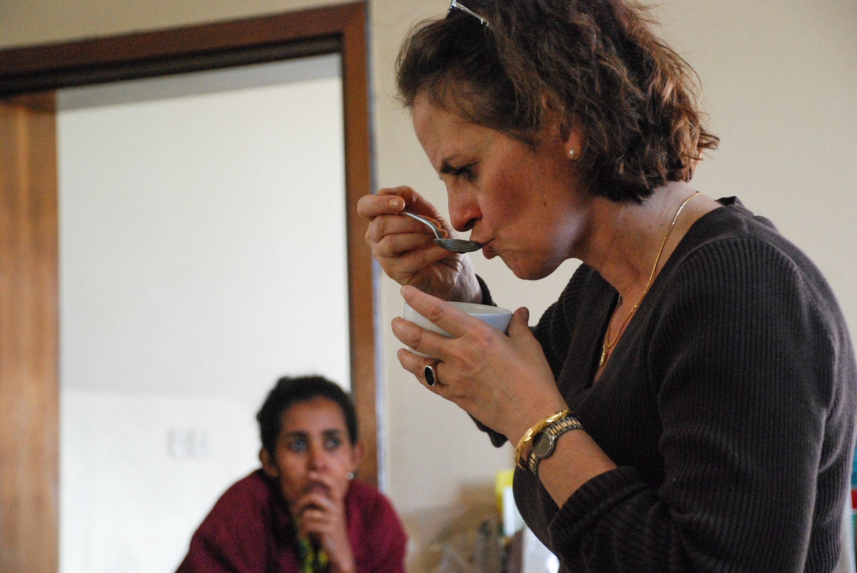 Robusta Q grader, tasting specialists
